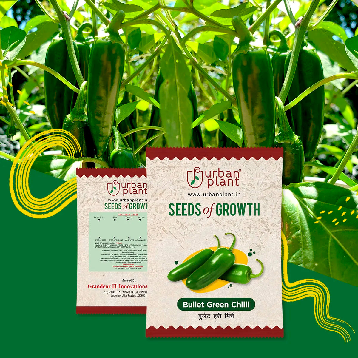 Bullet Green Chilli Seeds Urban Plant 