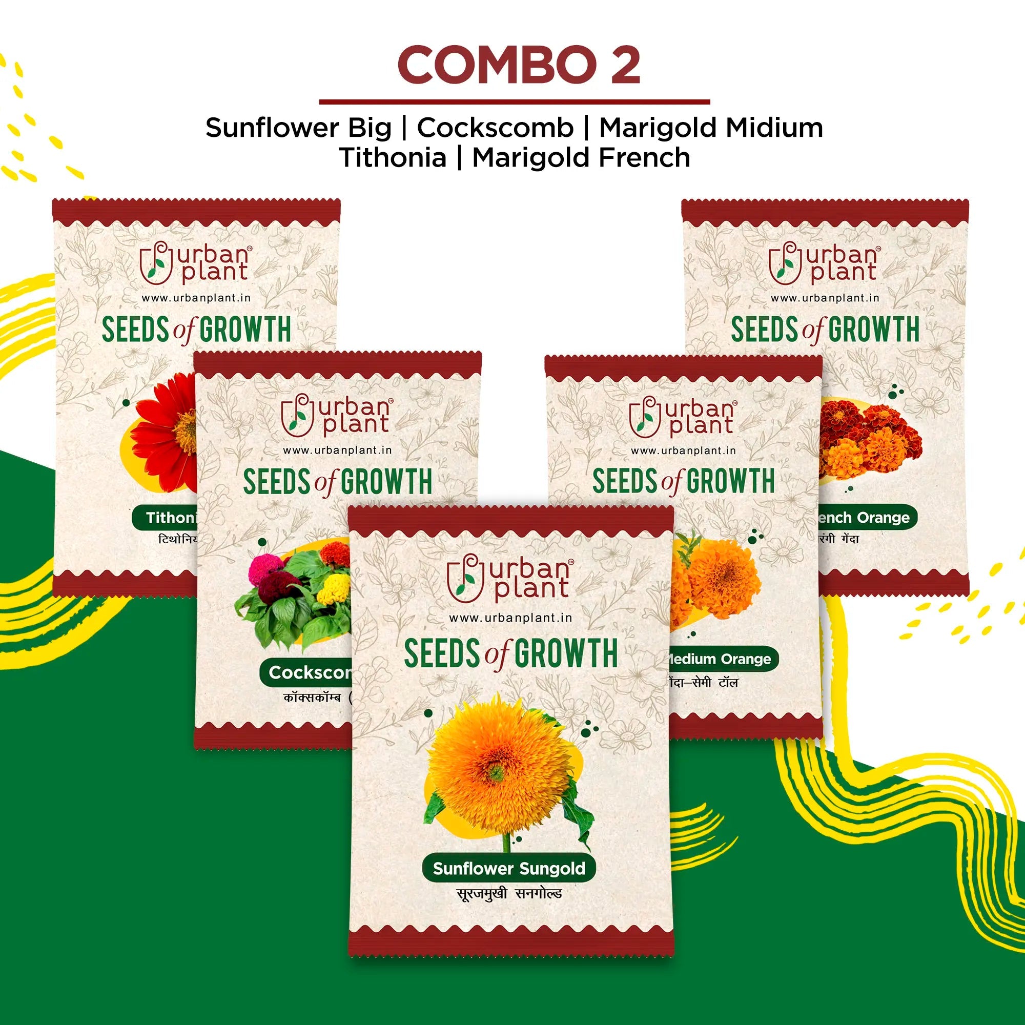 Holiday Bloom Pack of 5 Flower Seeds - COMBO 2 Flower Seed Urban Plant 