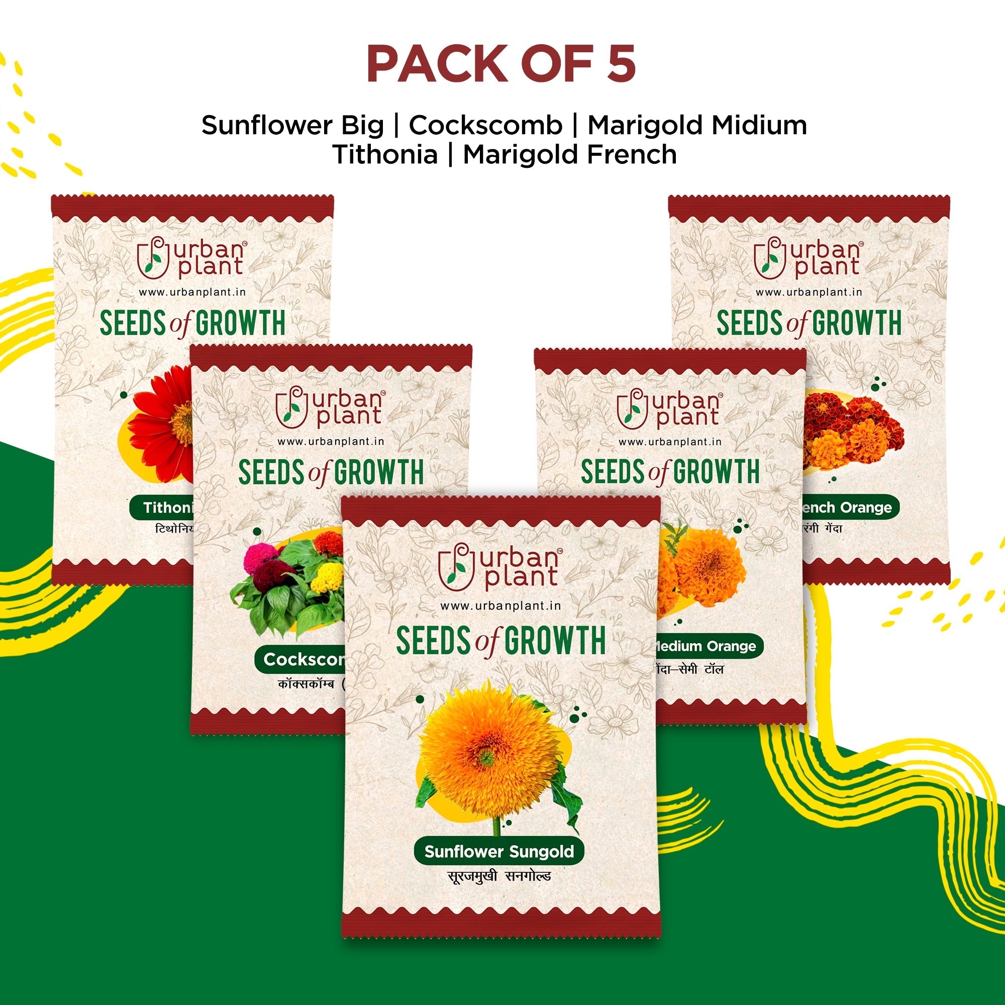 Holiday Bloom - Pack of 5 Flower Seeds Flower Seed Urban Plant 