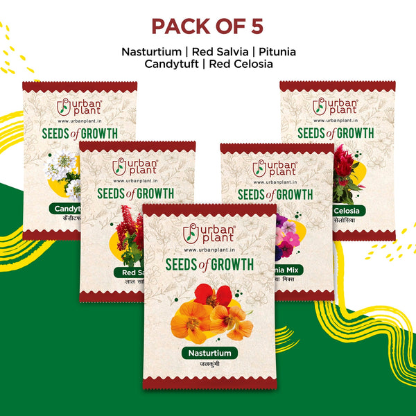 Floral Charm - (Pack of 5 Flower Seeds)