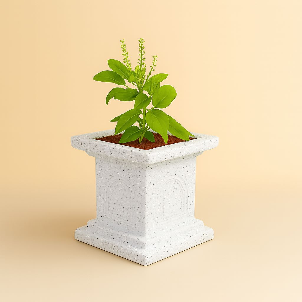 Tulsi Vatika Pot (White) Plastic Pot Urban Plant 