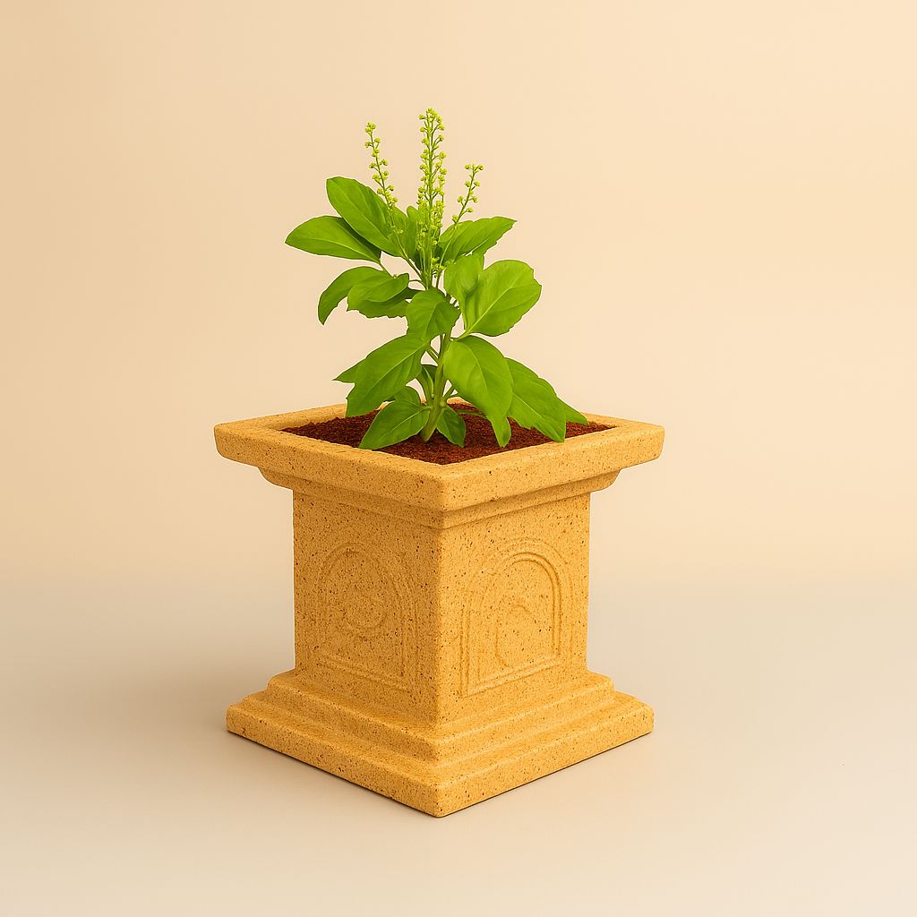 Tulsi Vatika Pot (Beige) Plastic Pot Urban Plant 