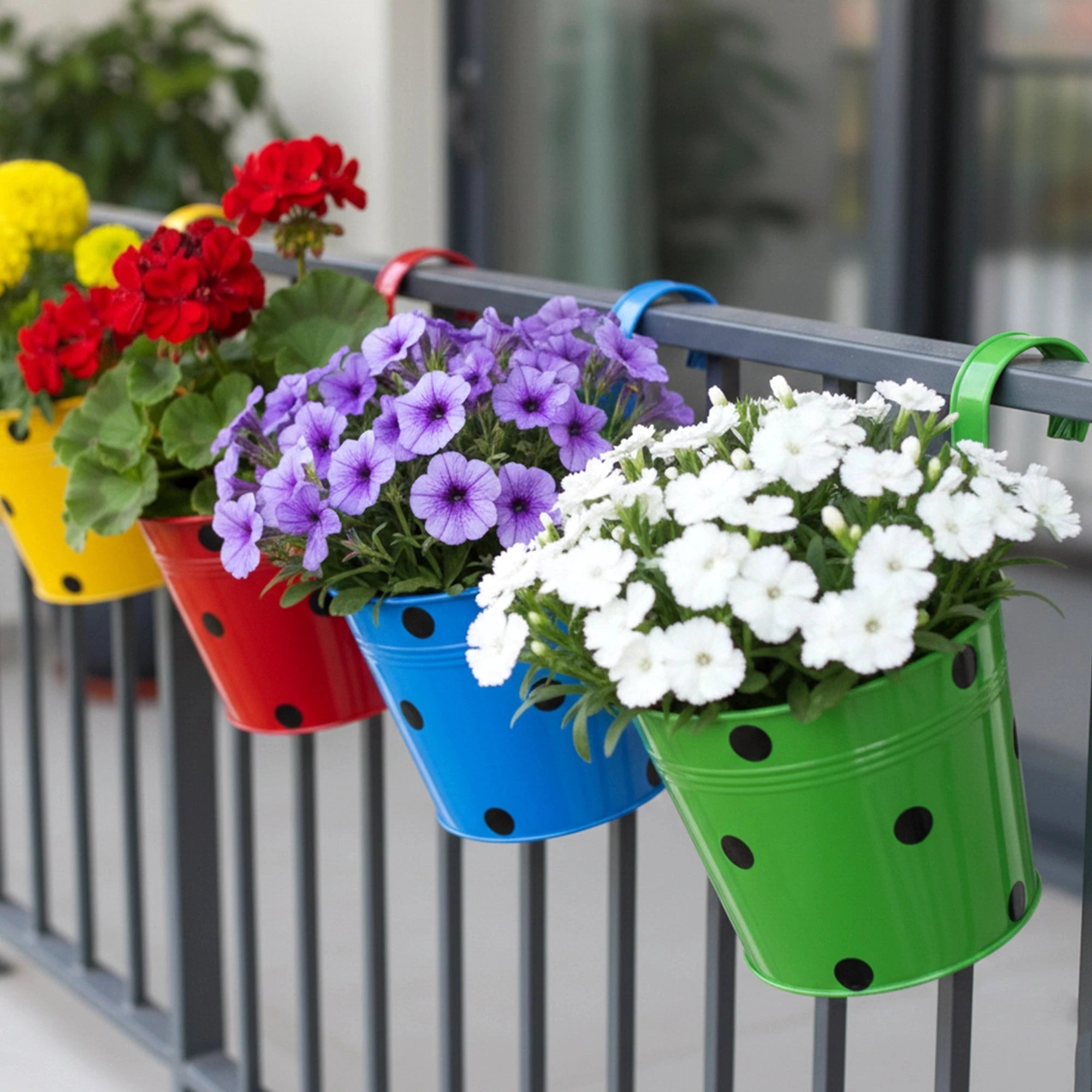 Colorcrest Hanging Planters - (Set of 5) Hanging Decor Urban Plant 