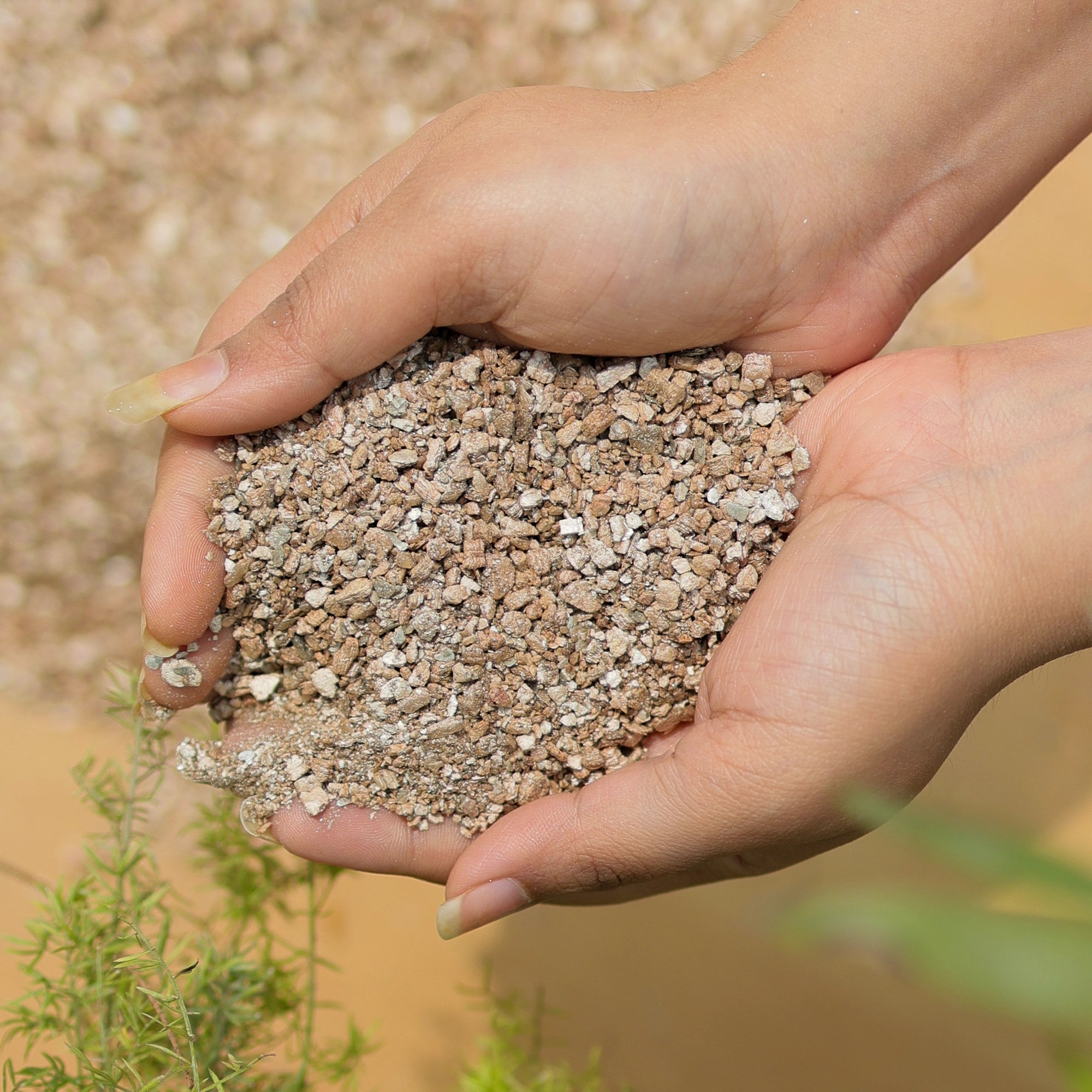 Vermiculite for Plants closeup