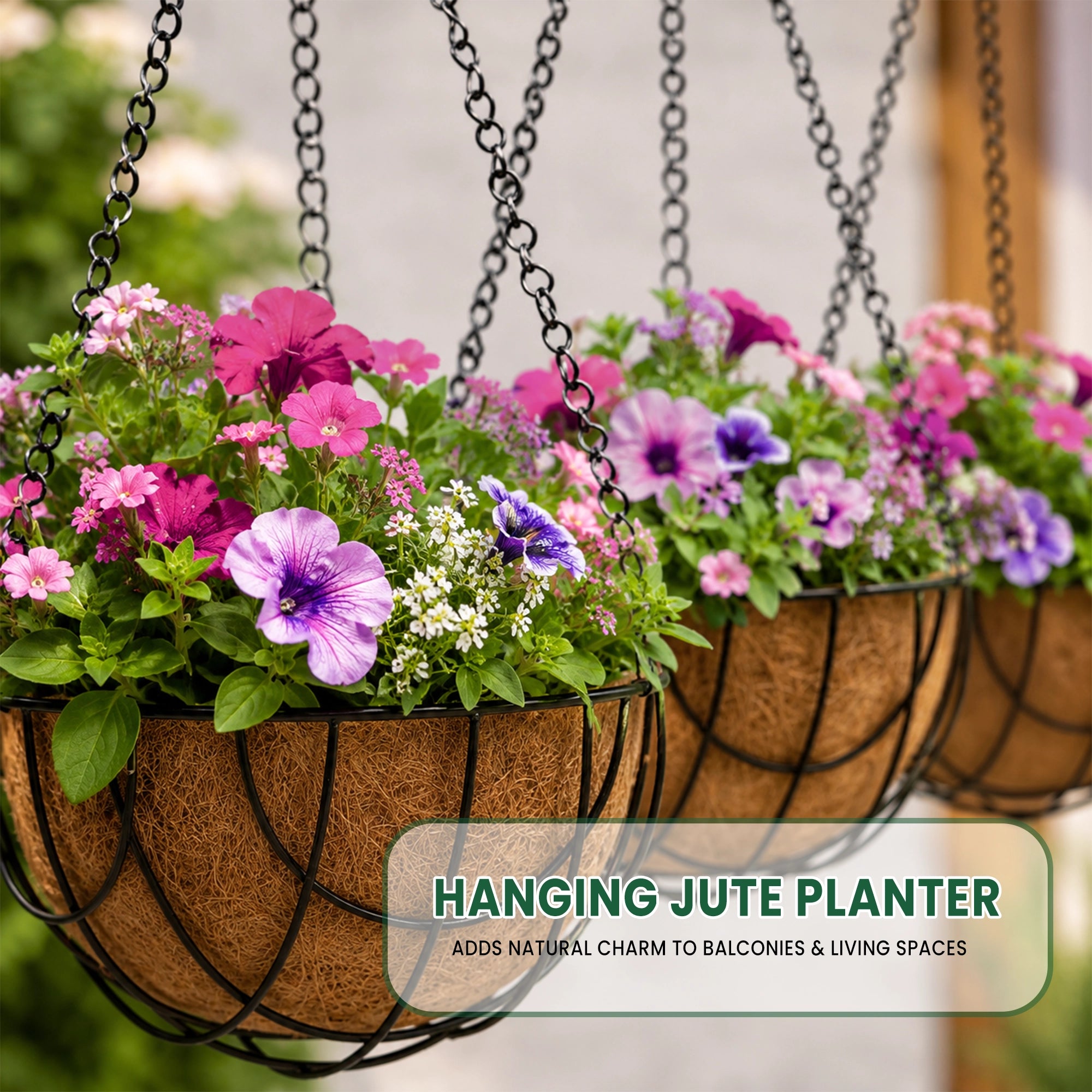 Hanging Coir Basket Planter with Metal Chain & S-Hook (Pack of 3)