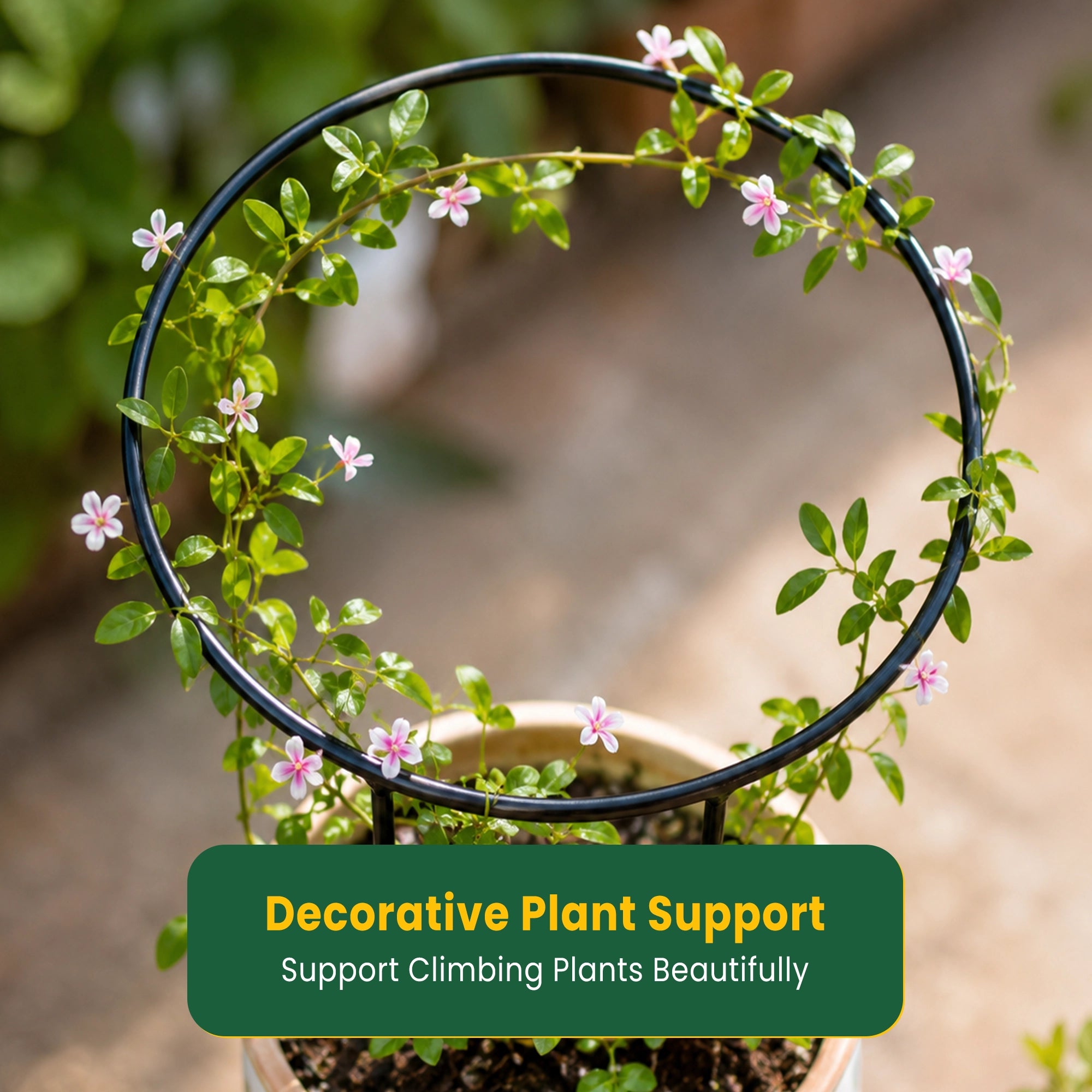 Urban Plant Round Shaped Trellis
