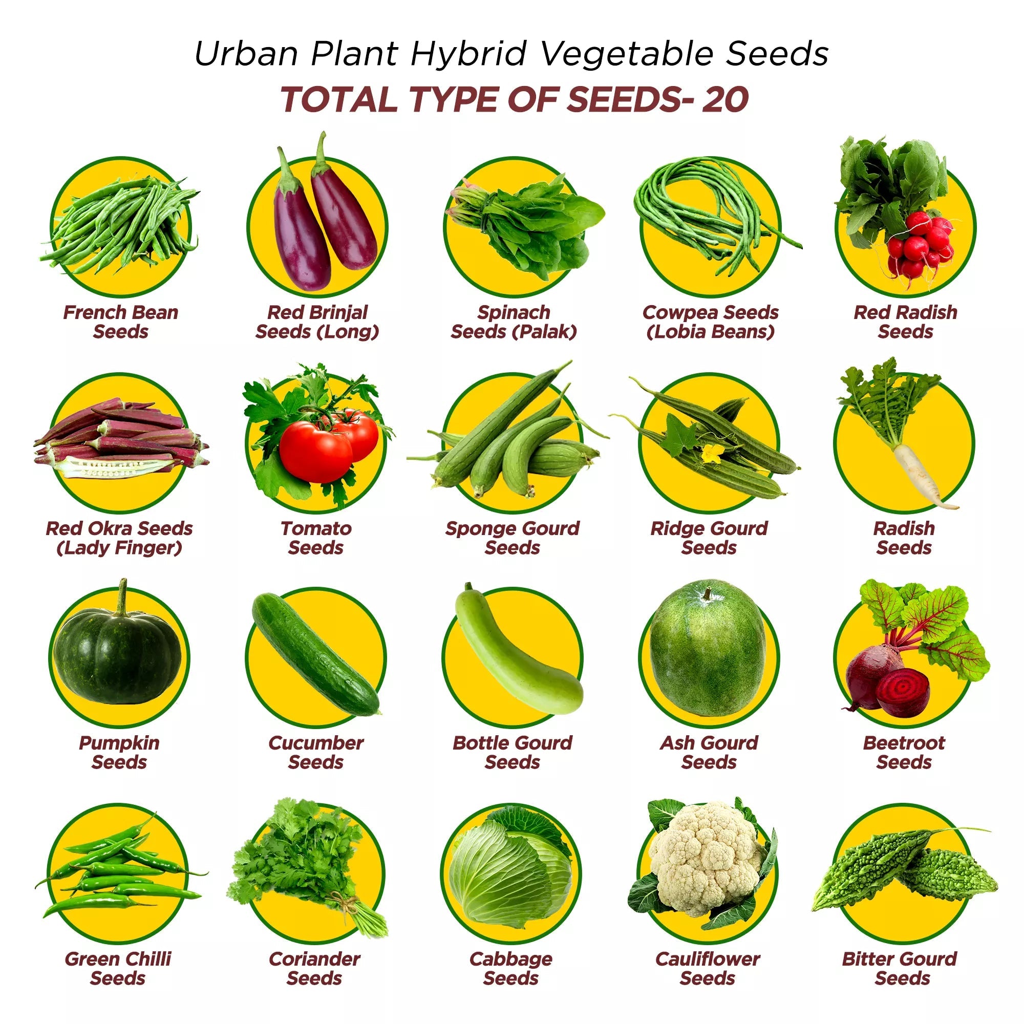 Urban Plant Hybrid Seeds- 20 Type of Vegetables Combo Vegetable Seed Urban Plant 