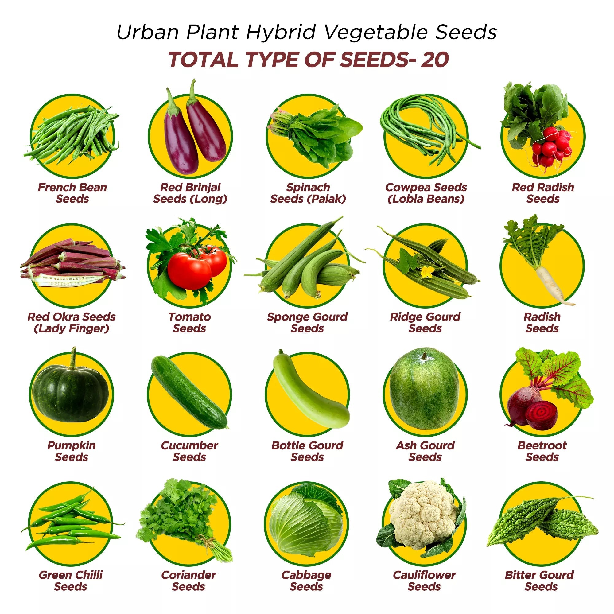 20 Types Of Hybrid Vegetable Seeds Ultimate Combo Pack 20 Types Of Hybrid Vegetable Seeds Ultimate Combo Pack