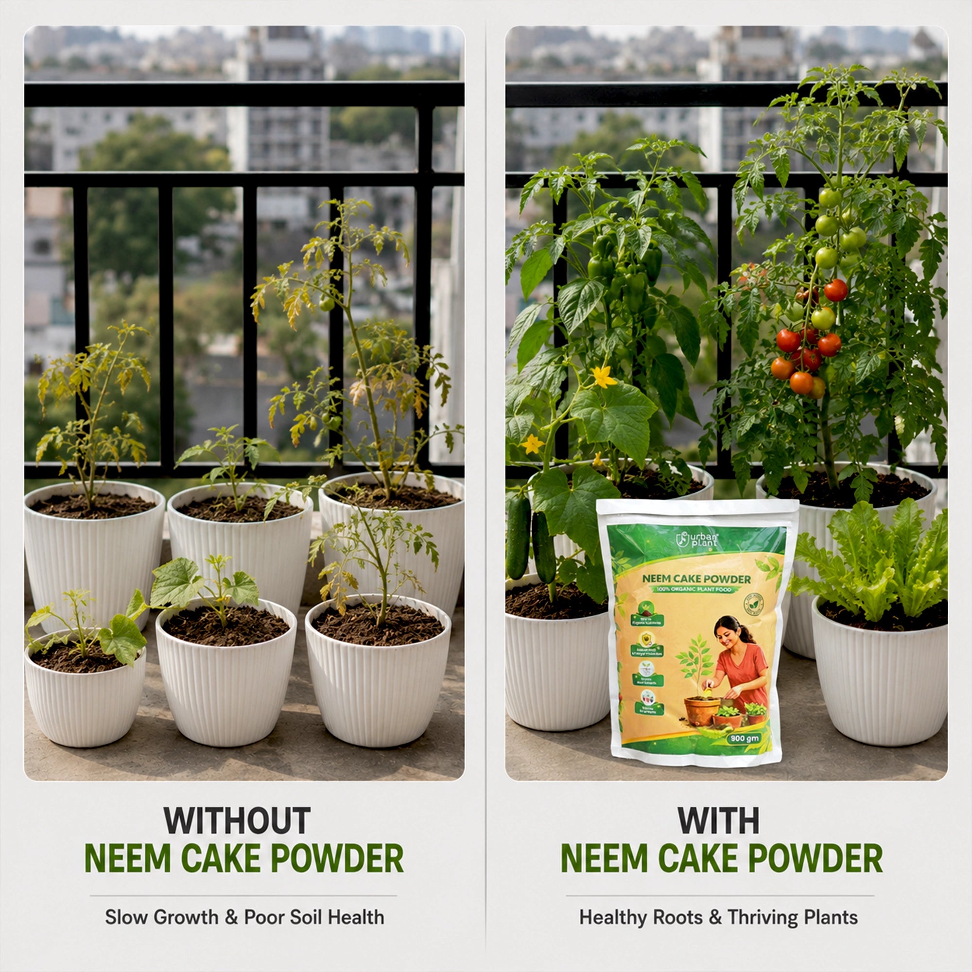 Urban Plant Neem Cake Powder 900 gm