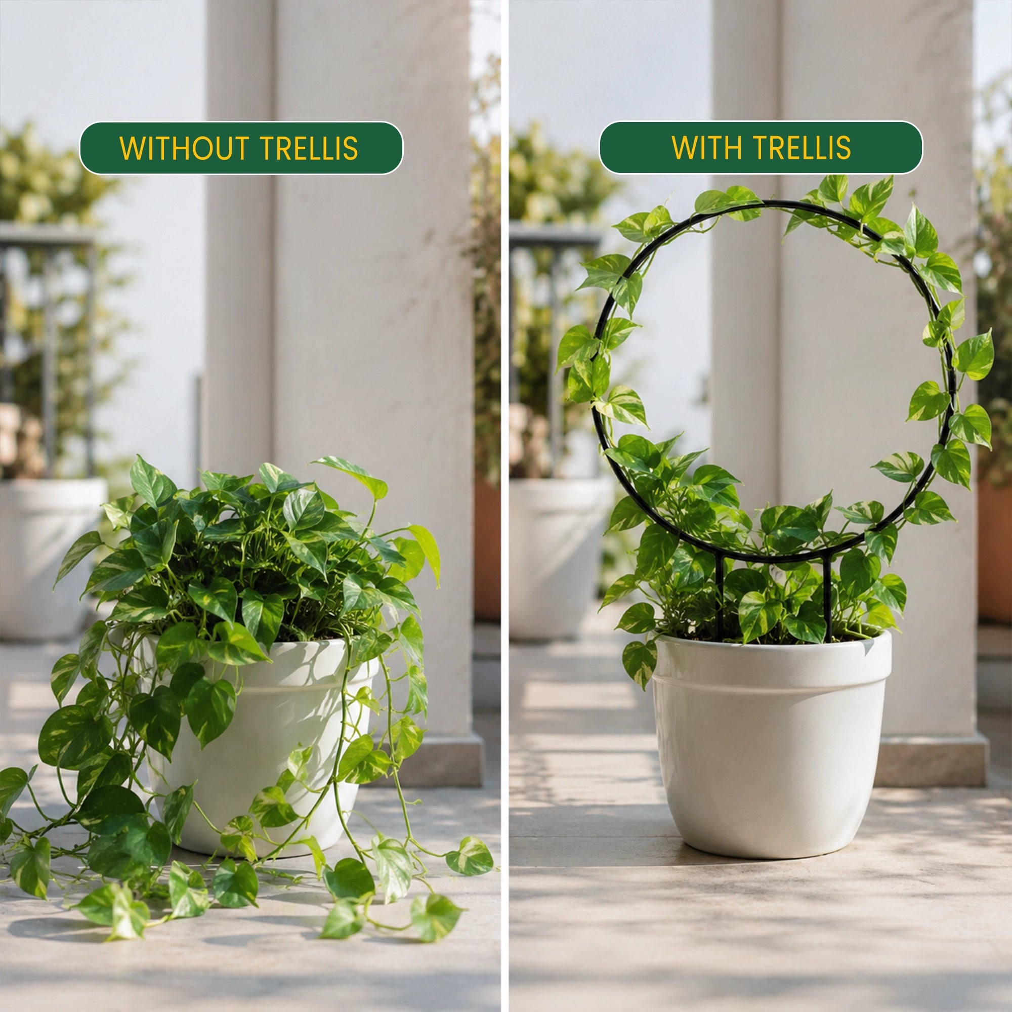 Urban Plant Round Shaped Trellis