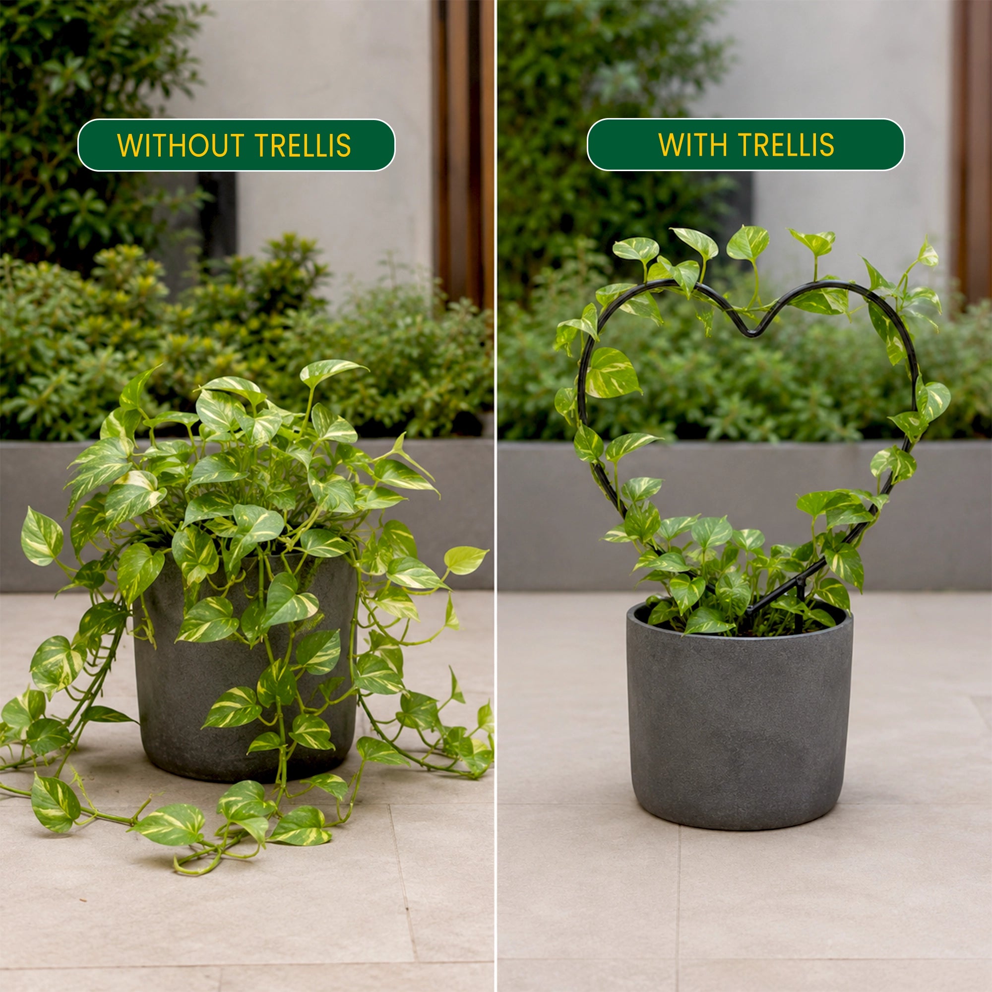 Urban Plant Heart Shaped Trellis for Climbing Plants - (Pack of 2)