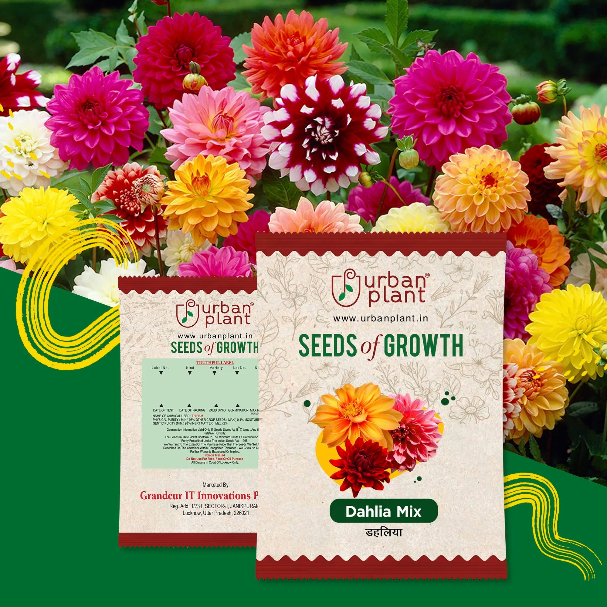 Dahlia Mix Flower Seeds Urban Plant 