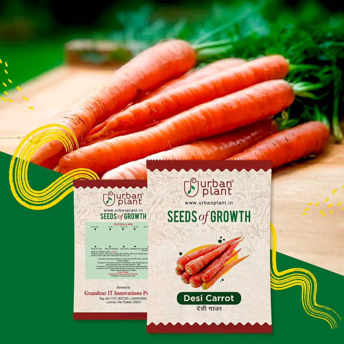 Carrot Seeds Vegetable Seed Urban Plant 