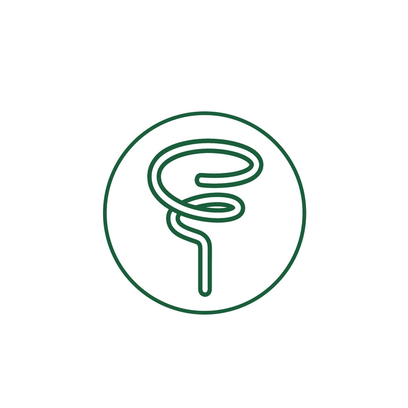 Spiral Stem Support
