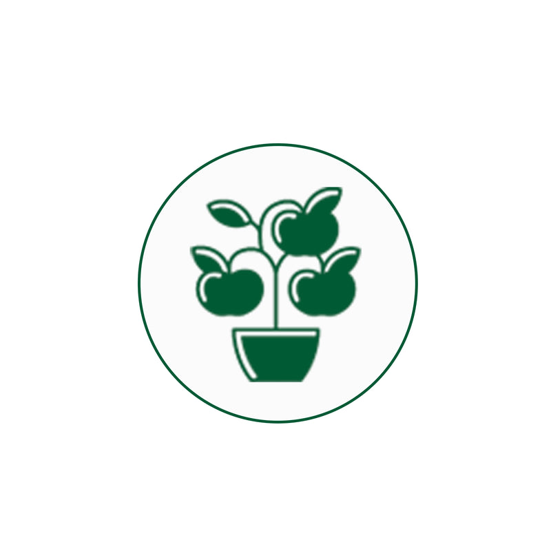 Boosts Flowering & Fruiting