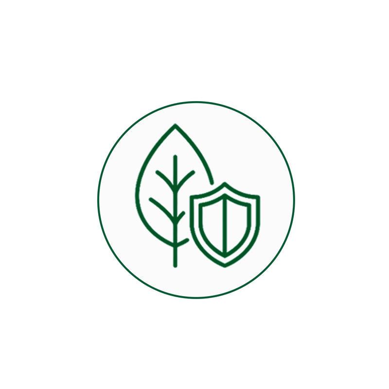 Safe for Rose Plants
