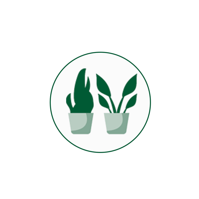 Promotes Healthy Plant Growth