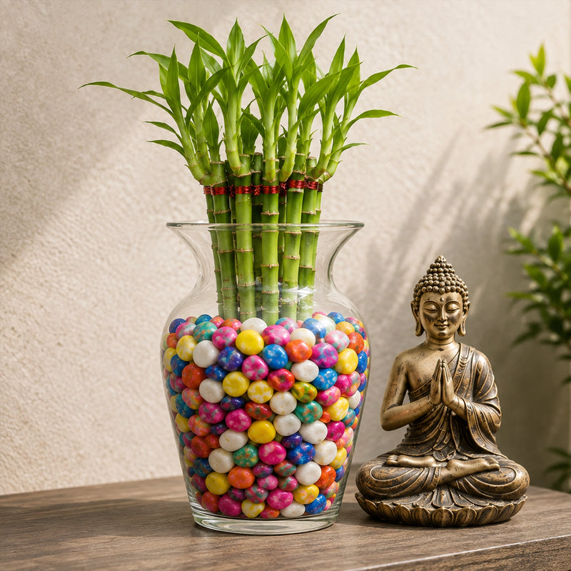 Perfect for Vases & Indoor Décor