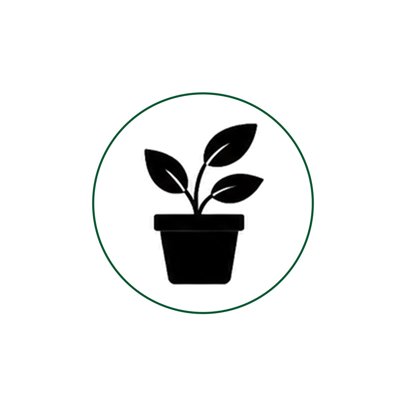 Perfect for Plant Display