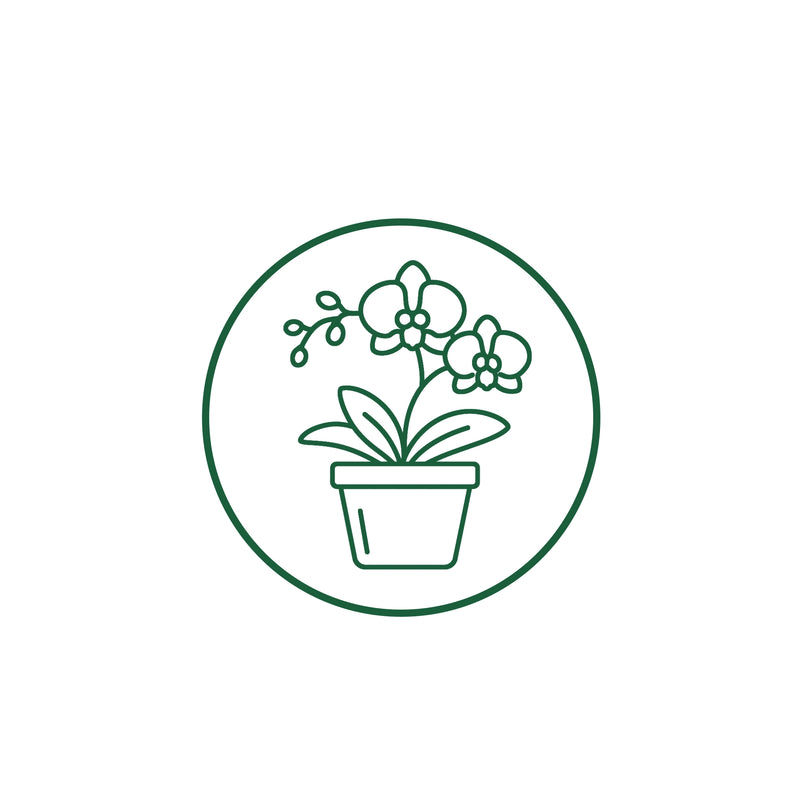 Supports Better Plant Form