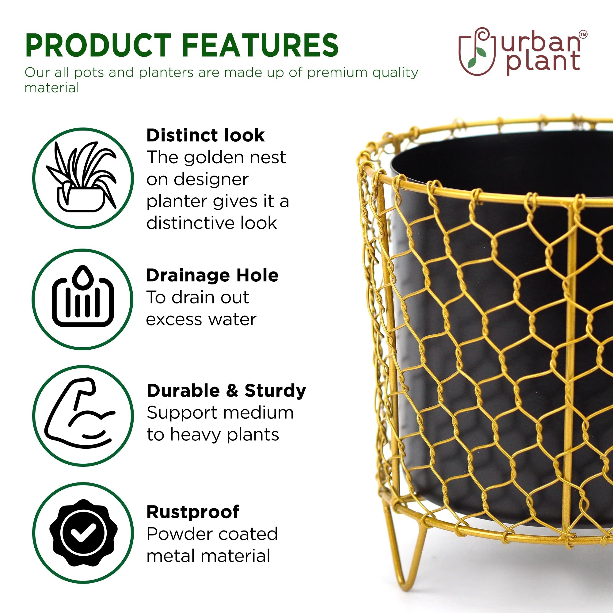 Golden Cage Metal Planter | Modern Designer Planter Pots for Living Room - 6" - 1270 Metal Planter Urban Plant 
