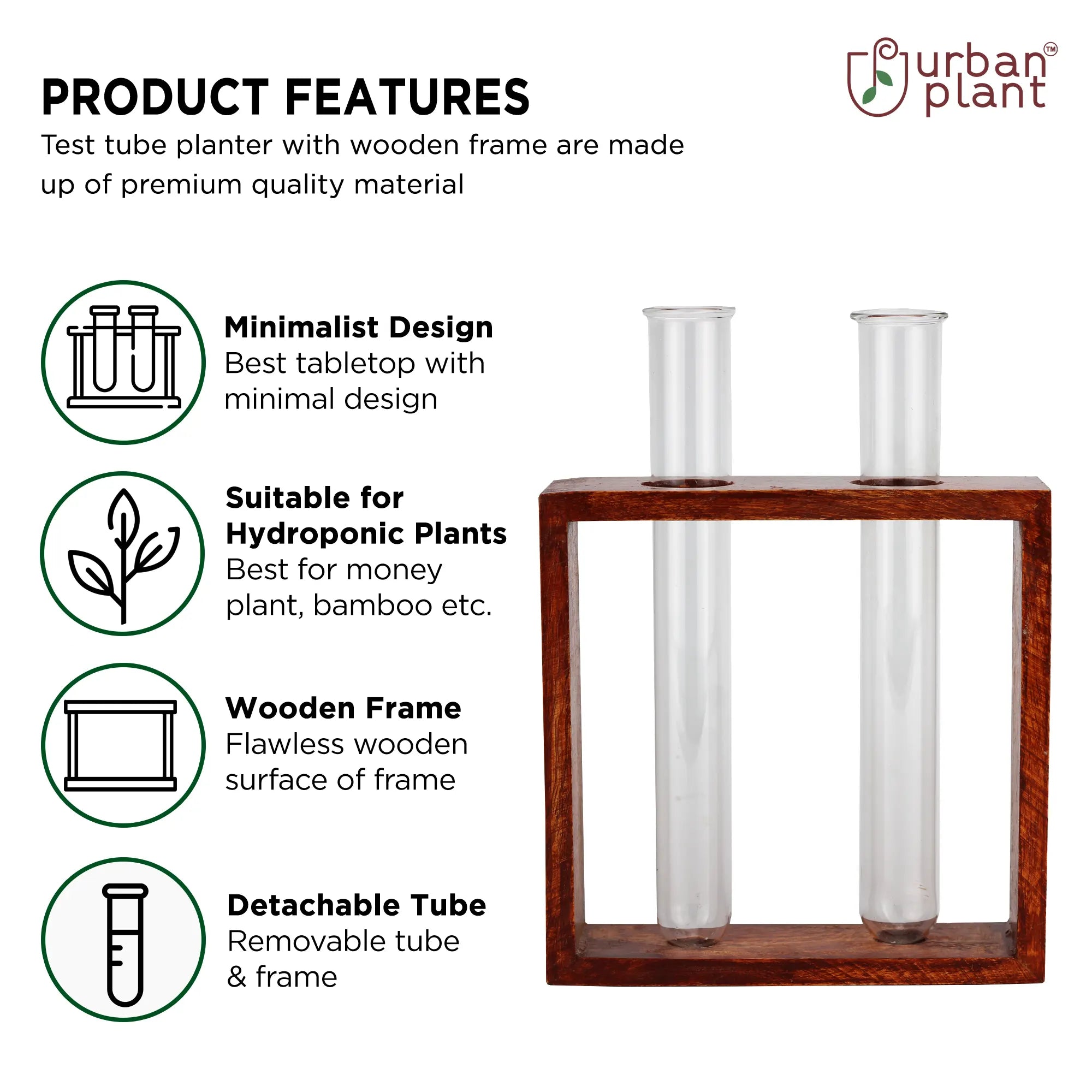 Modern Style Decorative Test Tube Planters with Wooden Frame Online (Set of 2) Indoor/Table Top Planter Urban Plant 