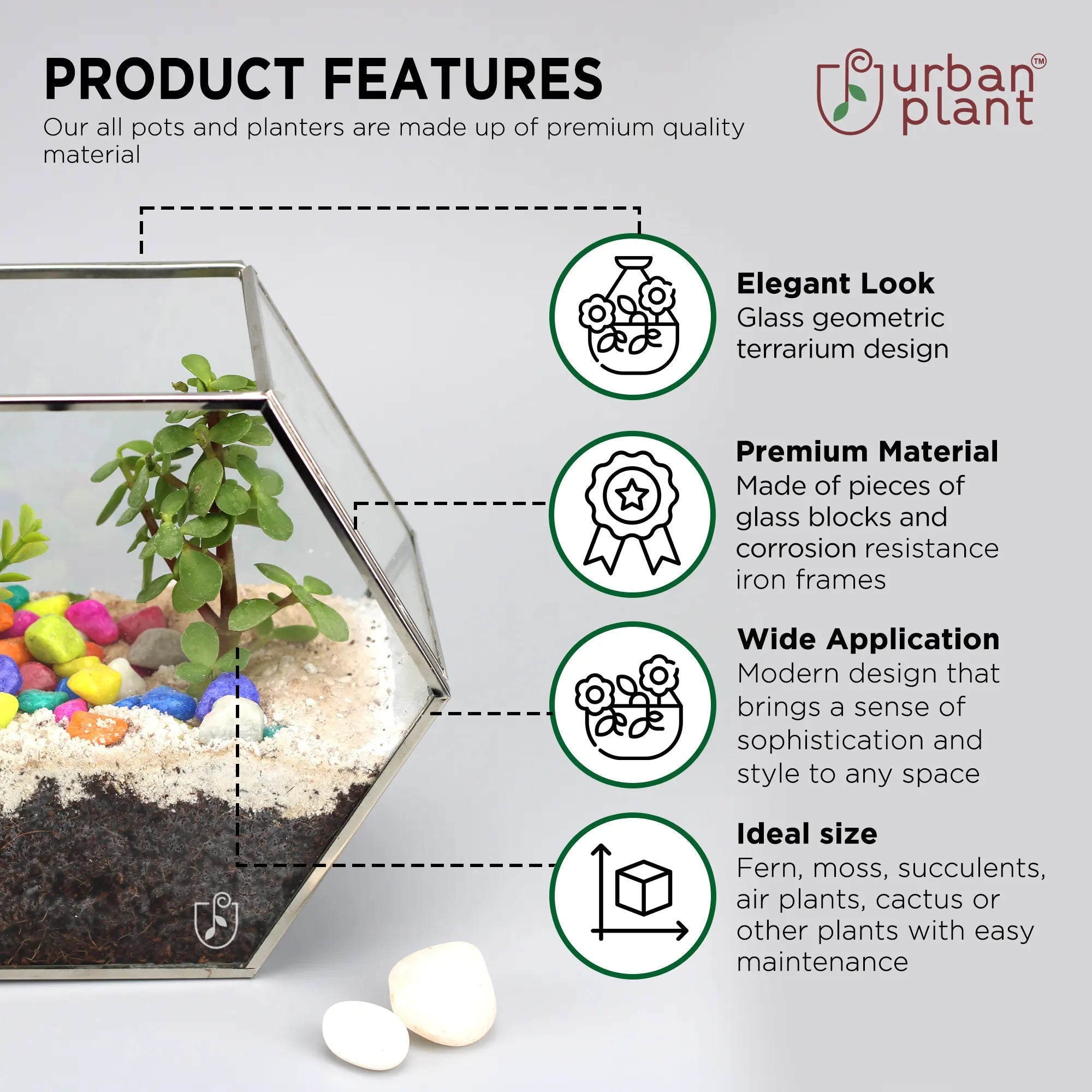 Decorative Hexagon Shape Table Top Glass Terrarium Online Glass Terrarium Urban Plant 