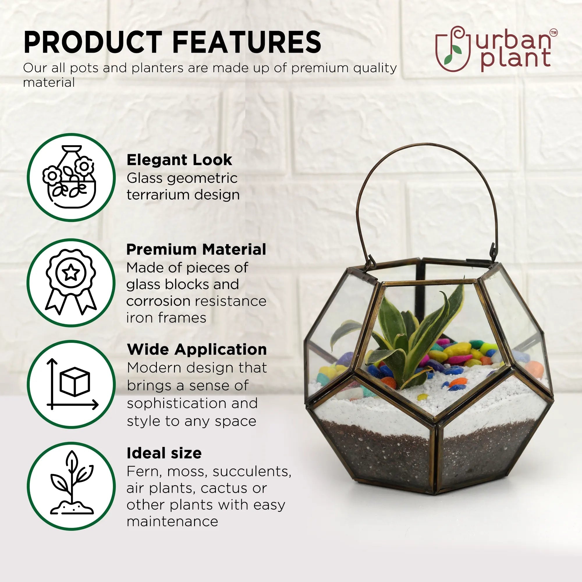 Elegant Decorative Geometric Table Top Glass Terrarium Glass Terrarium Urban Plant 
