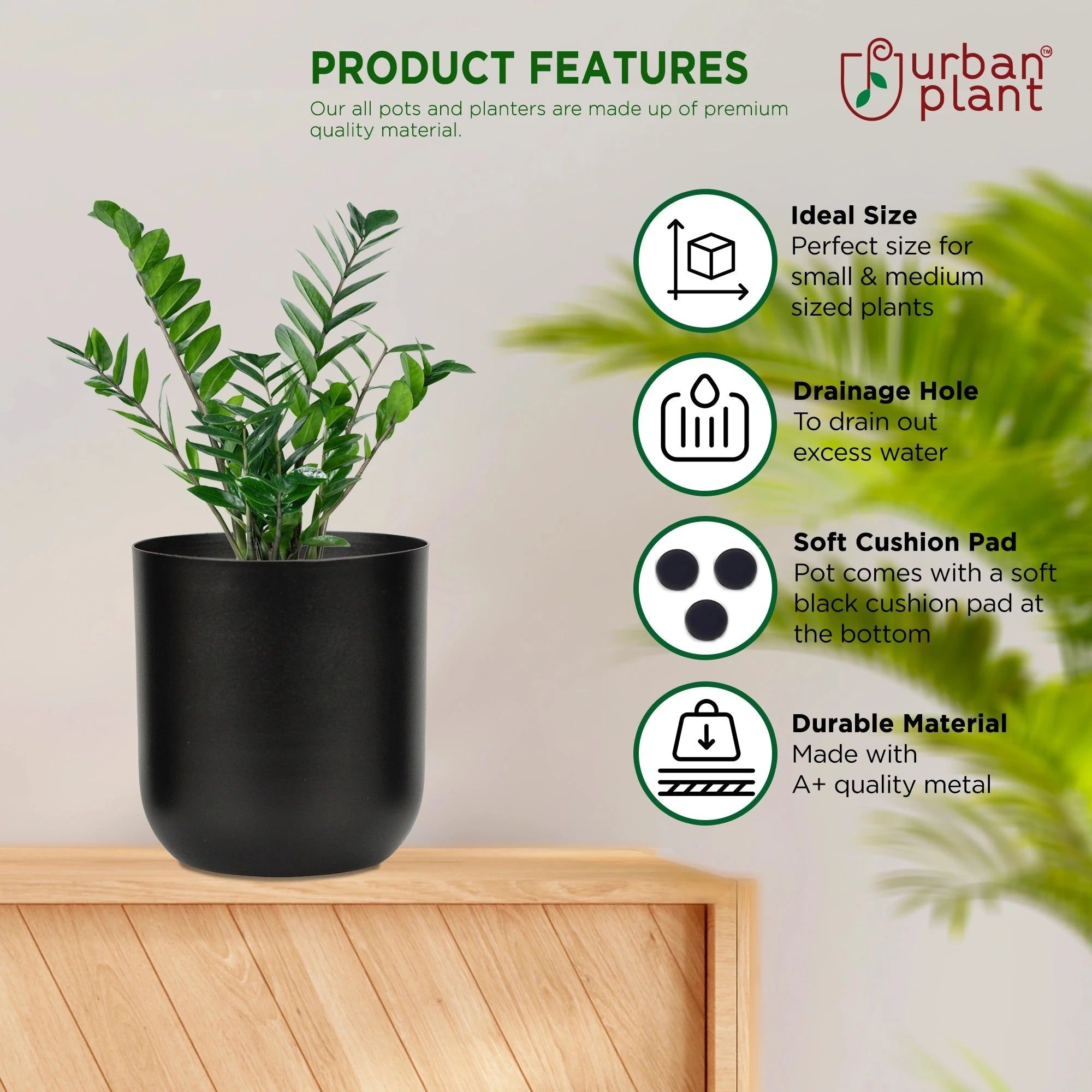Metallic Miniature Planter (Black - Pack of 1) Metal Planter Urban Plant 