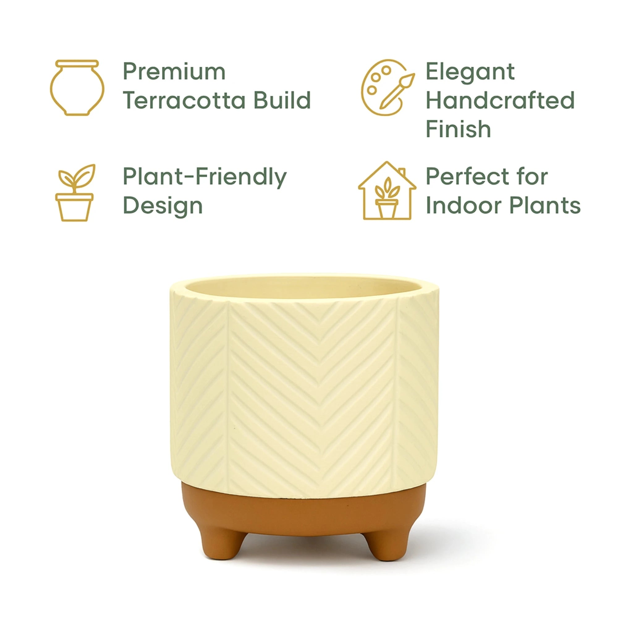 Emerald Terracotta Pot Urban Plant 