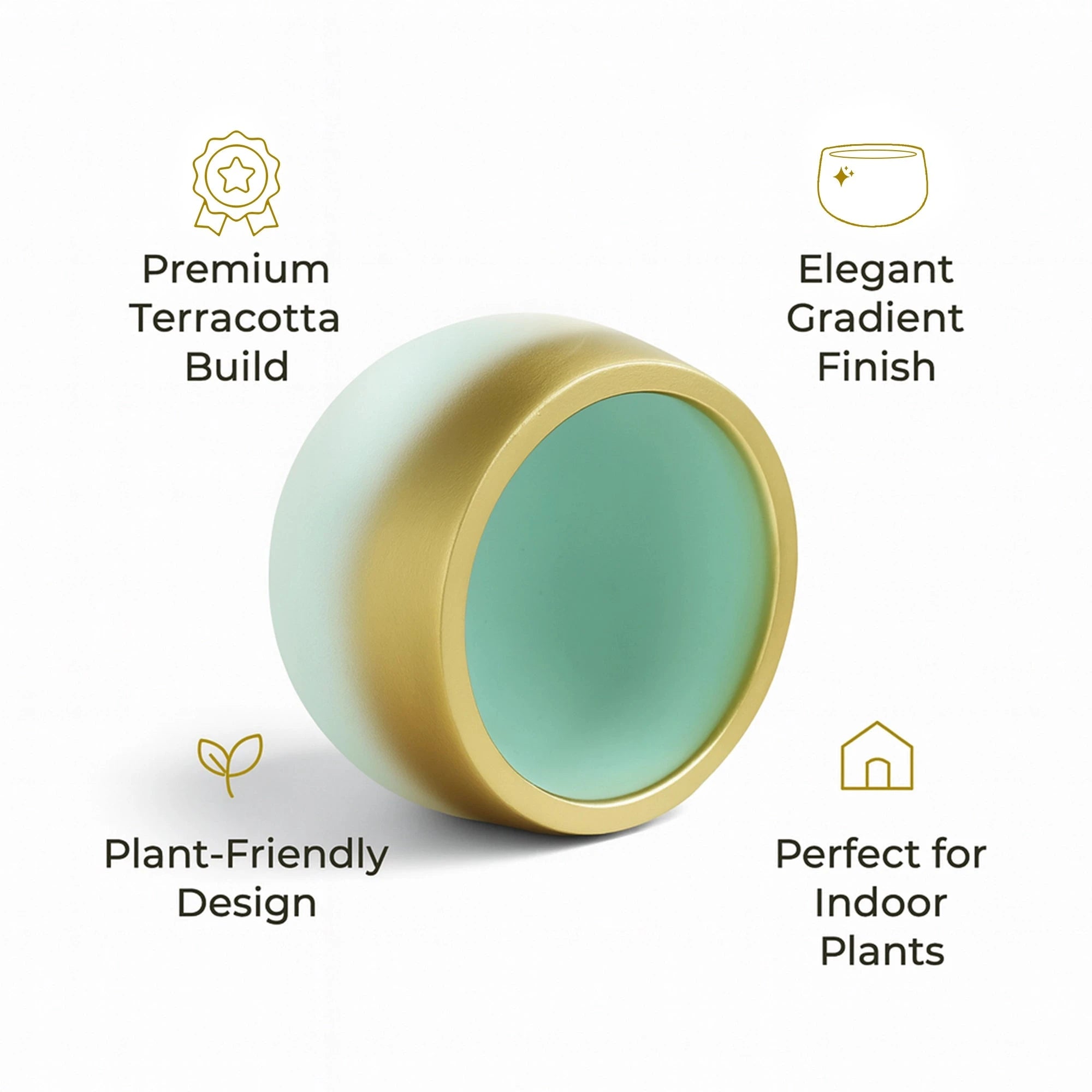 Celestia Terracotta Pot Terracotta Pot Urban Plant 