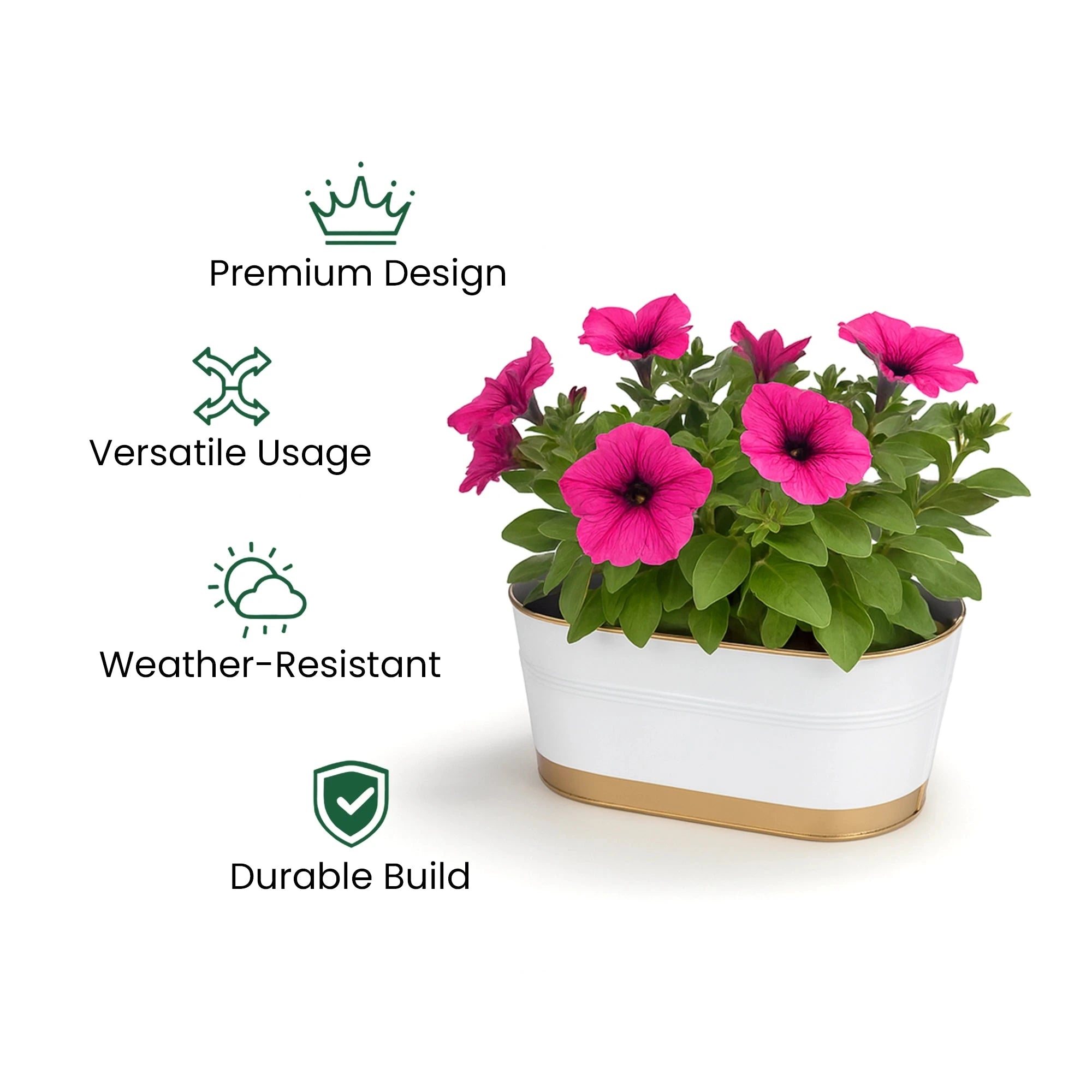 Curvian Hanging Planter - (Set of 5) Hanging Planter Urban Plant 