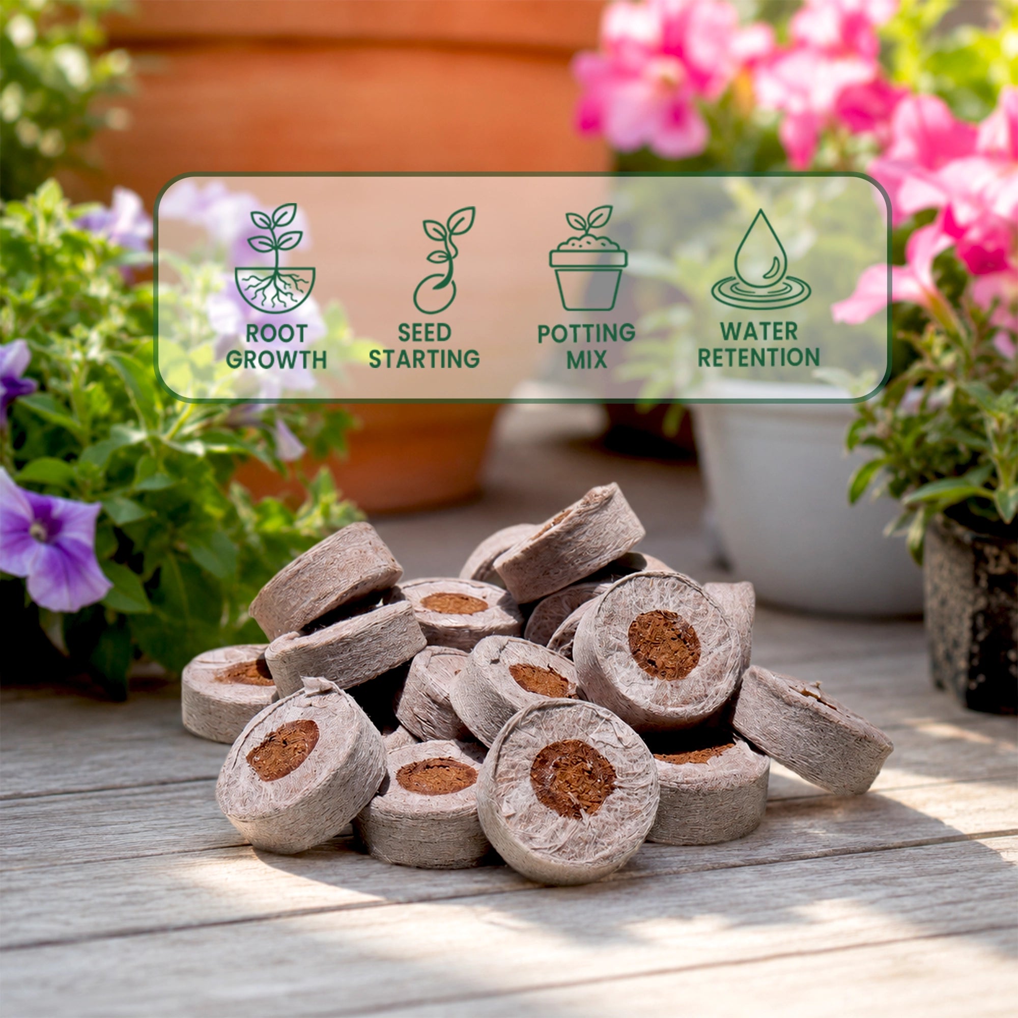 Cocopeat Seedling Coin - (with Plug)