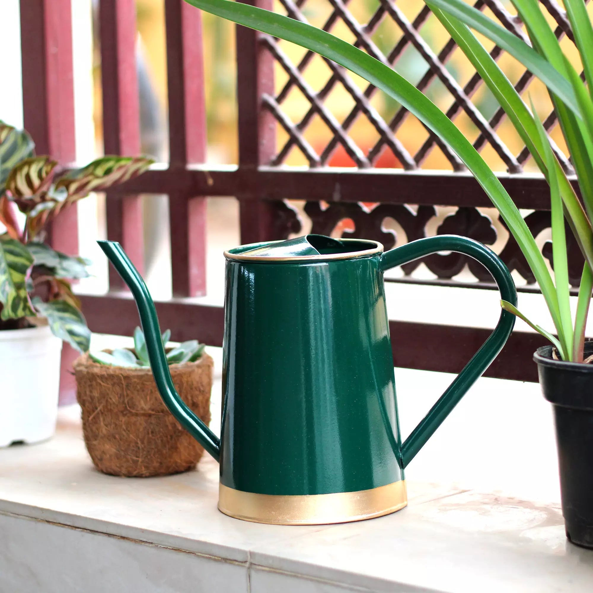 Urban Plant Metal Watering Can for Indoor & Outdoor Use | Best for Home Gardening | Terrace Garden Accessories | Watering Can with Long Spout - 1.5ltr Gardening Accessories Urban Plant 