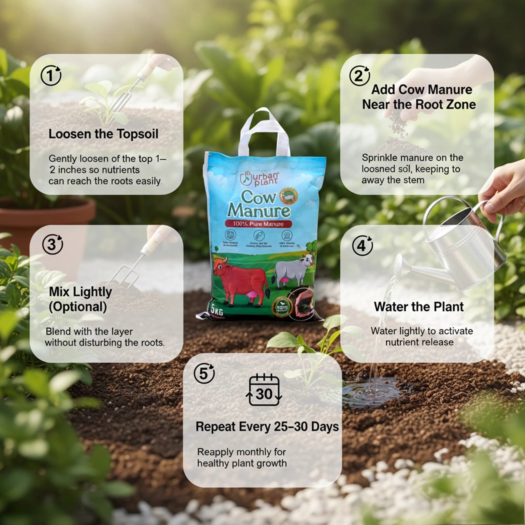 Cow Manure for Plants Potting Mix Urban Plant 