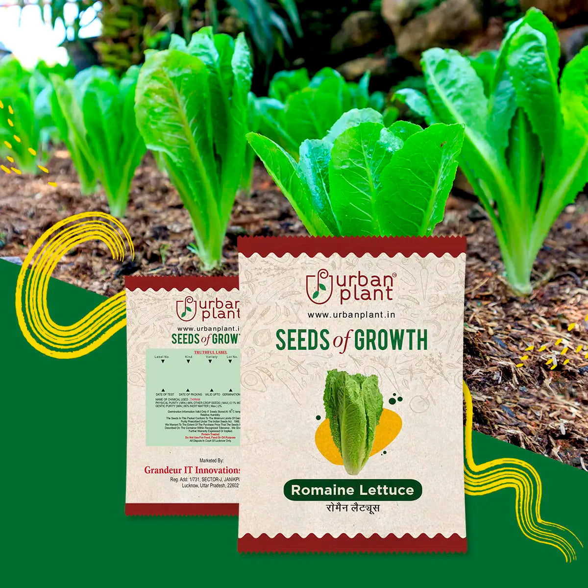 Romaine Lettuce Seeds Vegetable Seed Urban Plant 