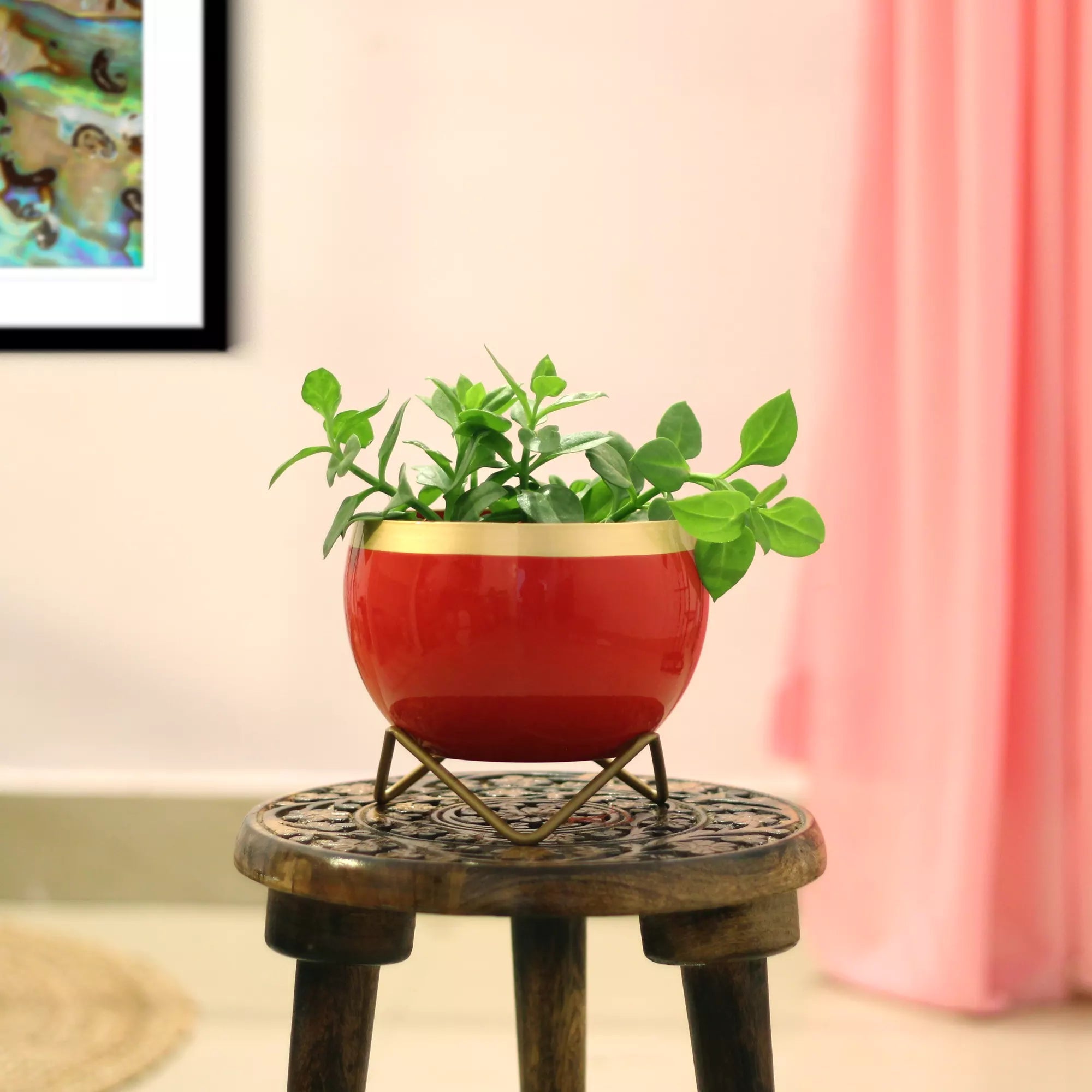 Planters for Tabletop (5 Inch) (Multicolor) Metal Planter Urban Plant 
