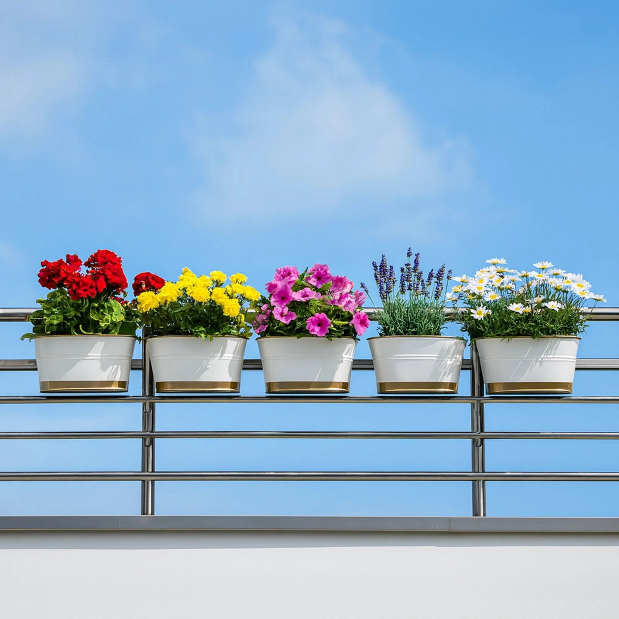 Curvian Hanging Planter - (Set of 5) Hanging Planter Urban Plant 