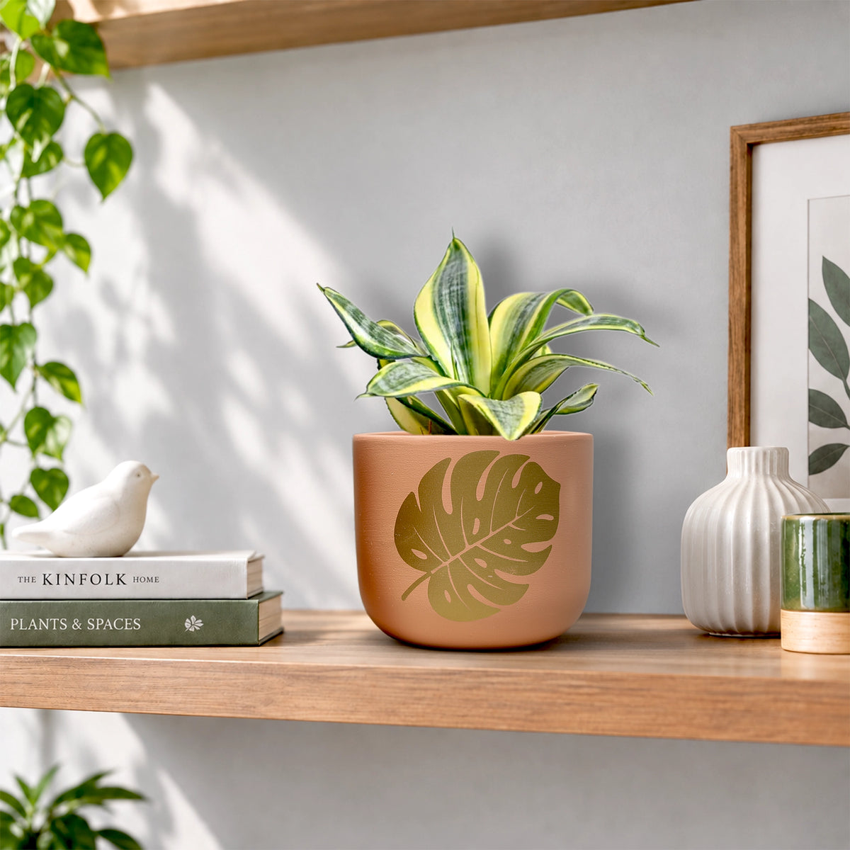 Urban Plant Monstera Muse Terracotta Pot Earth Gold