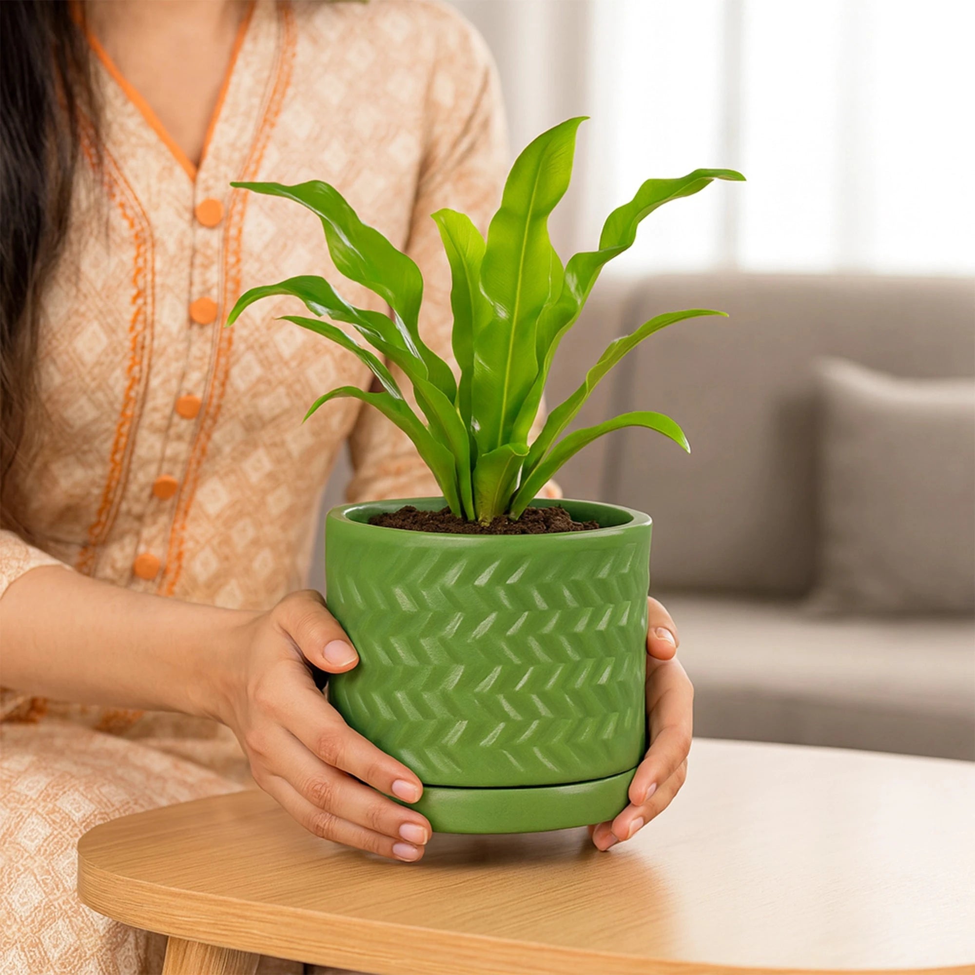 Fresh Breath Terracotta Pot with Saucer Urban Plant 
