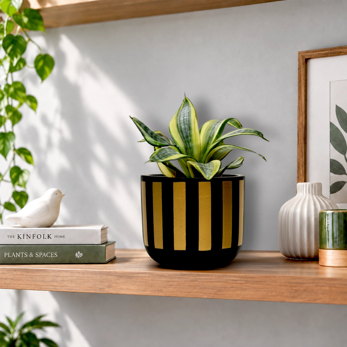 Urban Plant Neo Stripe Terracotta Pot Color Black Gold