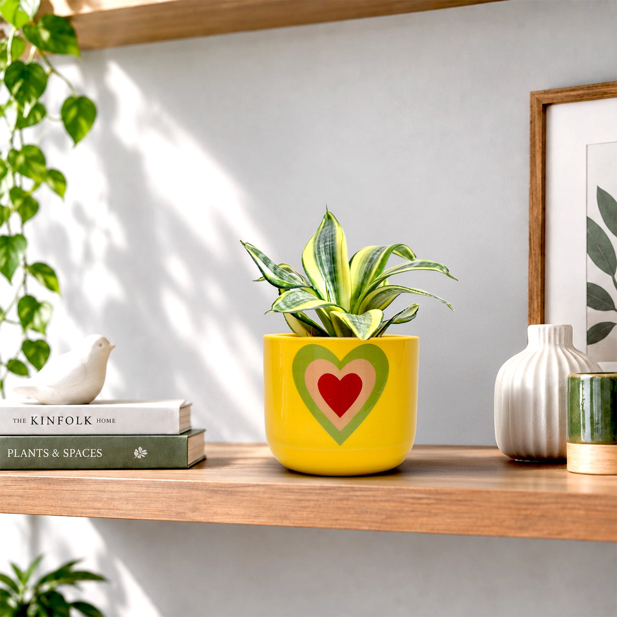 Urban Plant Heart Bloom Terracotta Pot
