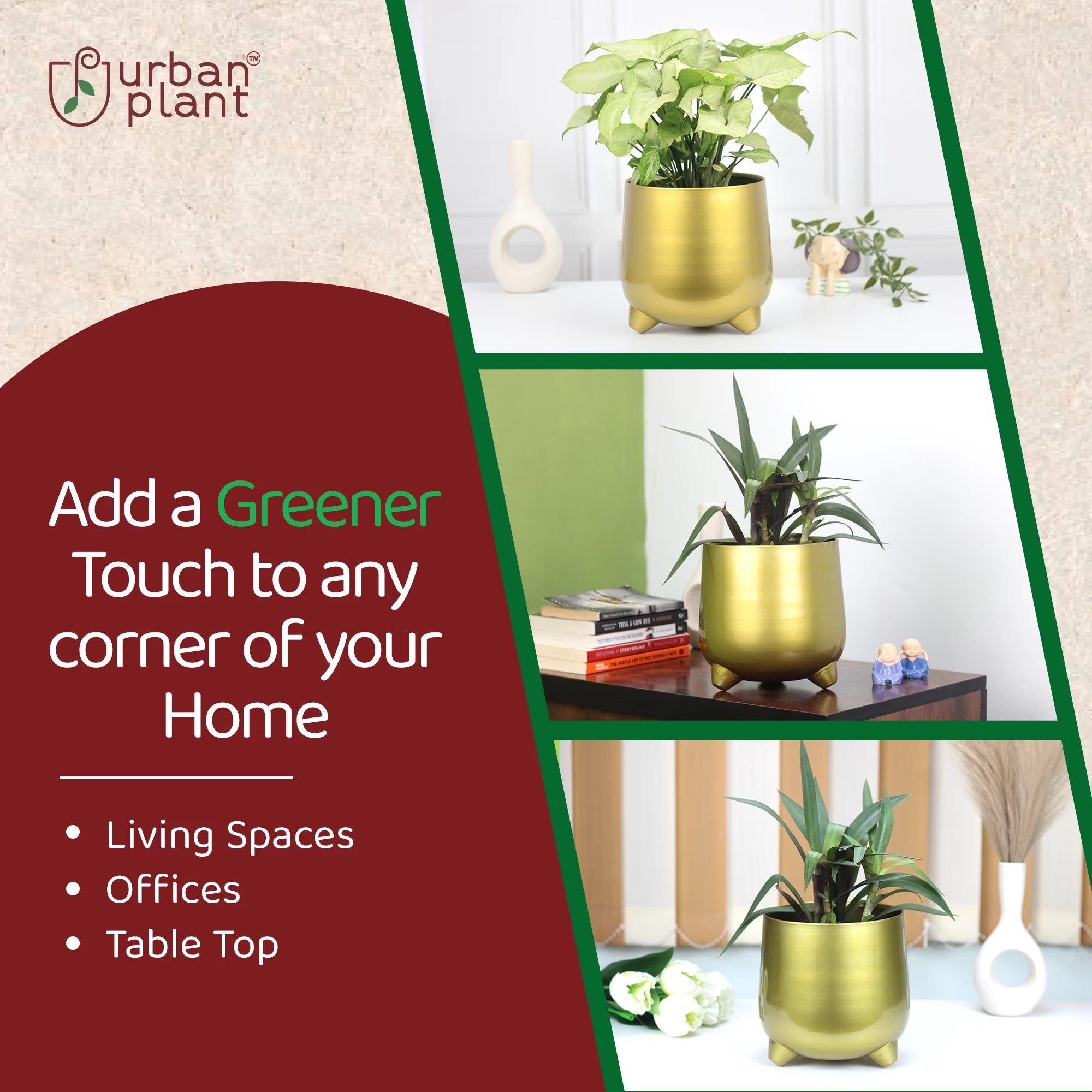 Gold Finish Metal Planter | Table Top Pot - 7.5 inch (No. 1509) Metal Planter Urban Plant 