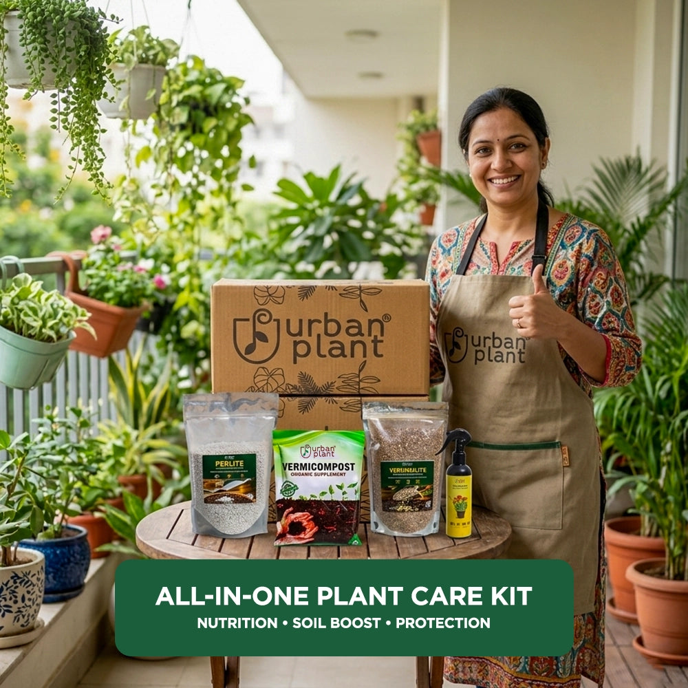 soil improvement kit for plants