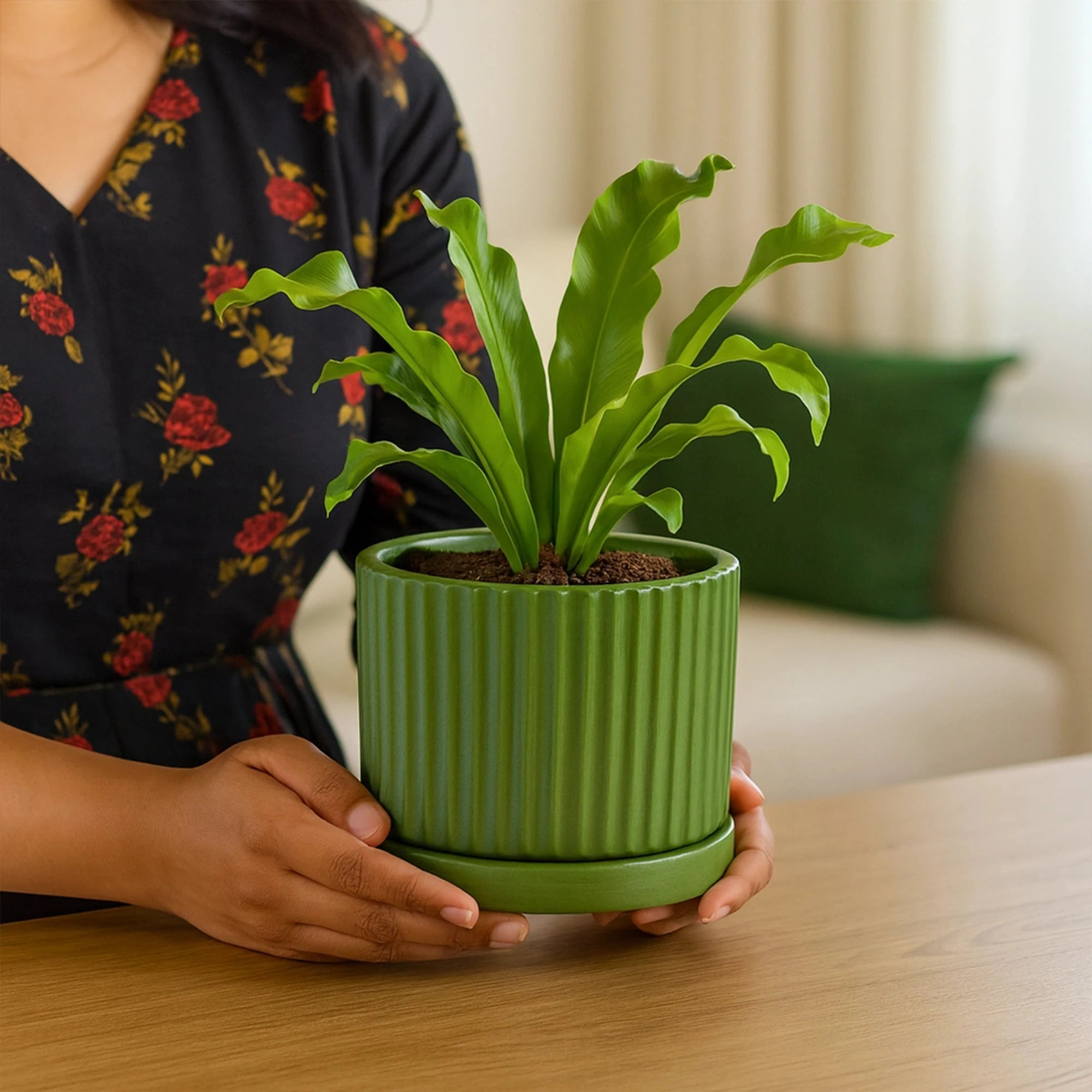 Fresh Breath Terracotta Pot with Saucer Urban Plant 
