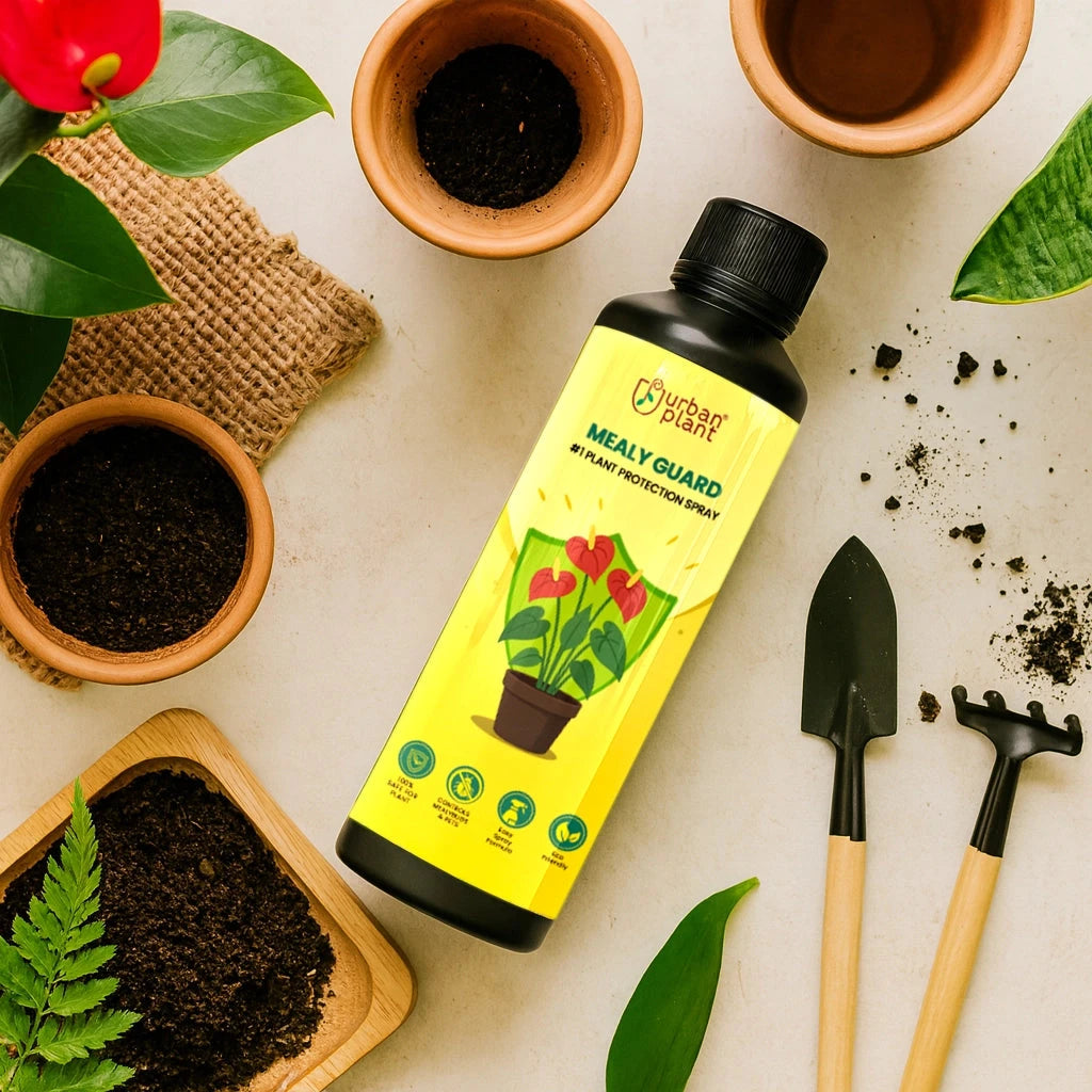 Urban Plant Mealy Guard – Natural Plant Protection Spray for Mealy Bugs & Pests Urban Plant 