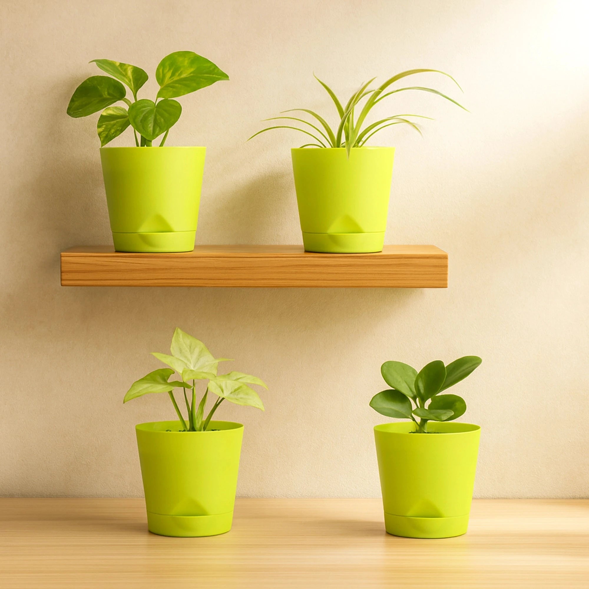 Vivid Self Watering Pot - (Set Of 4) Plastic Pot Urban Plant 