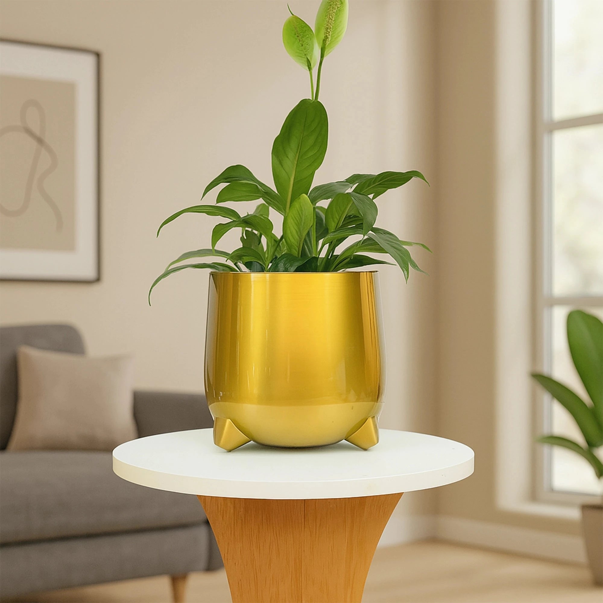 Kanaka Gold Planter Metal Planter Urban Plant 