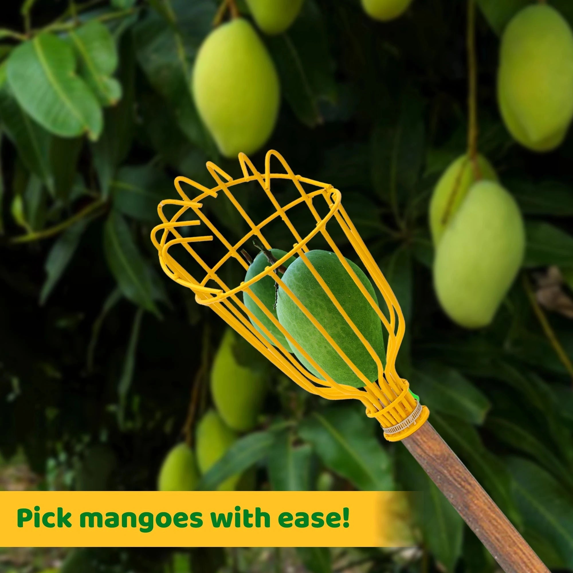 Urban Plant Fruit Picker Plucking Tool Gardening Accessories Urban Plant 