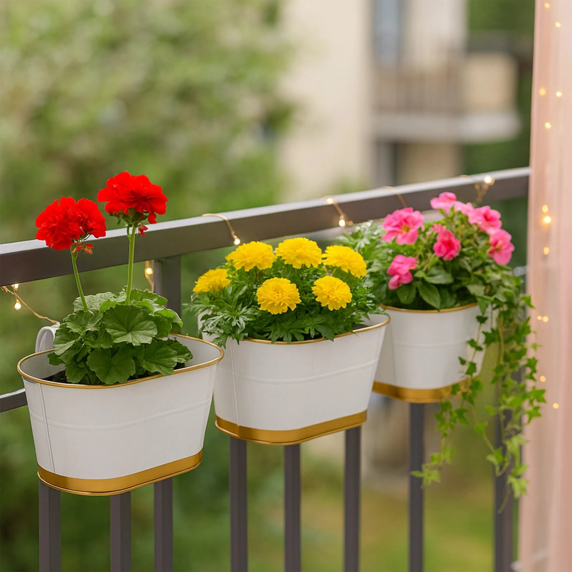 Curvian Hanging Planter - (Set of 5) Hanging Planter Urban Plant 